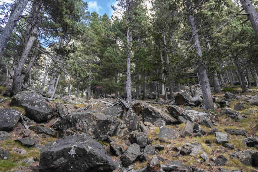 Huesca - parque nacional de Ordesa y Monte Perdido - valle de Ordesa 113 - faja Canarellos.jpg
